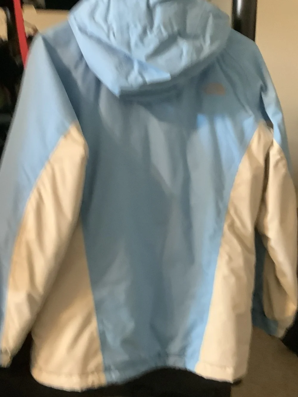 The North Face Light Blue and White Hooded‎ ski Jacket
